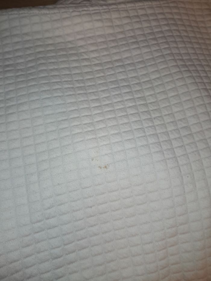 Pull/Sweet - photo numéro 4