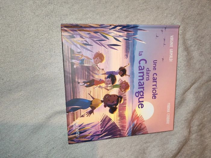 Une carriole dans la Camargue