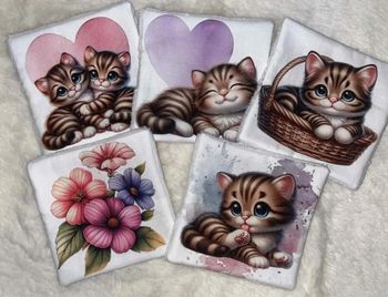 5 lingettes lavables chats 