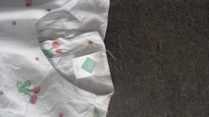 Robe légere - photo numéro 2