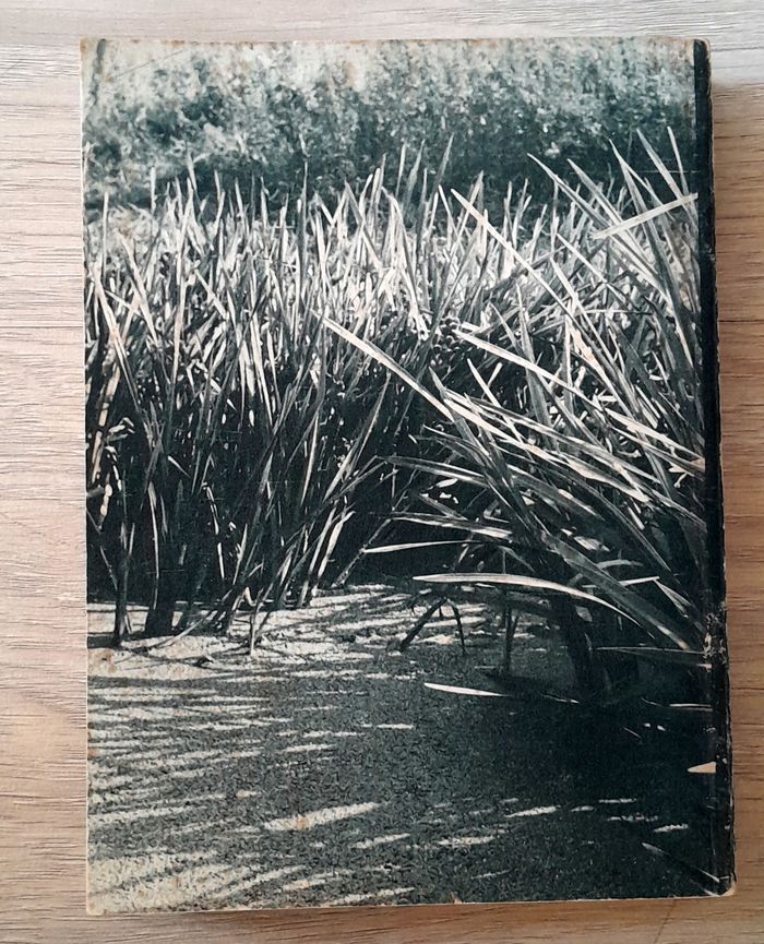 Luvovic Giraud - comme un veilleur propos pour le septième jour - photo numéro 4