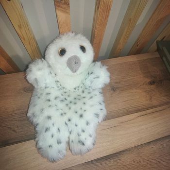 Chouette hibou marionnette 