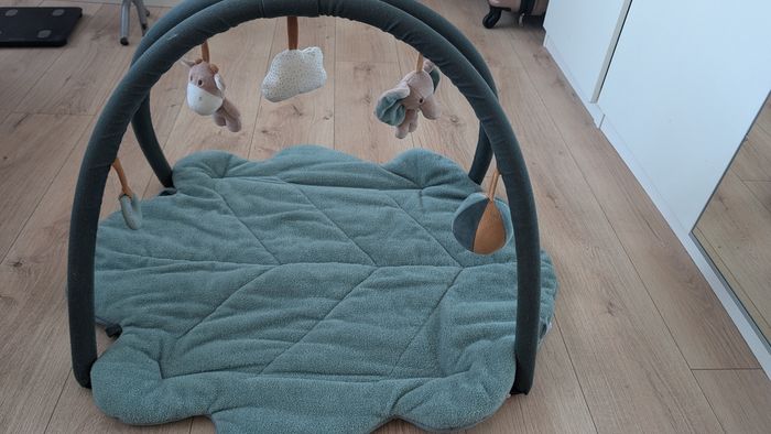 Tapis d'éveil Nattou Axel et Luna - photo numéro 2