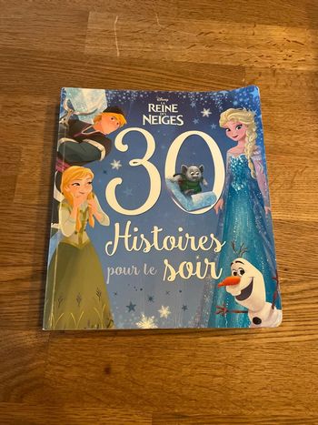Livre Disney 30 histoires pour le soir La reine des neiges