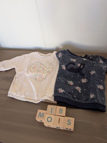 Lot de 2 sweats tape a l'oeil 18 mois 