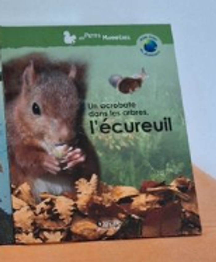 l'écureuil