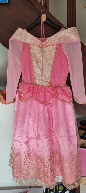 Déguisement robe la Belle au bois dormant