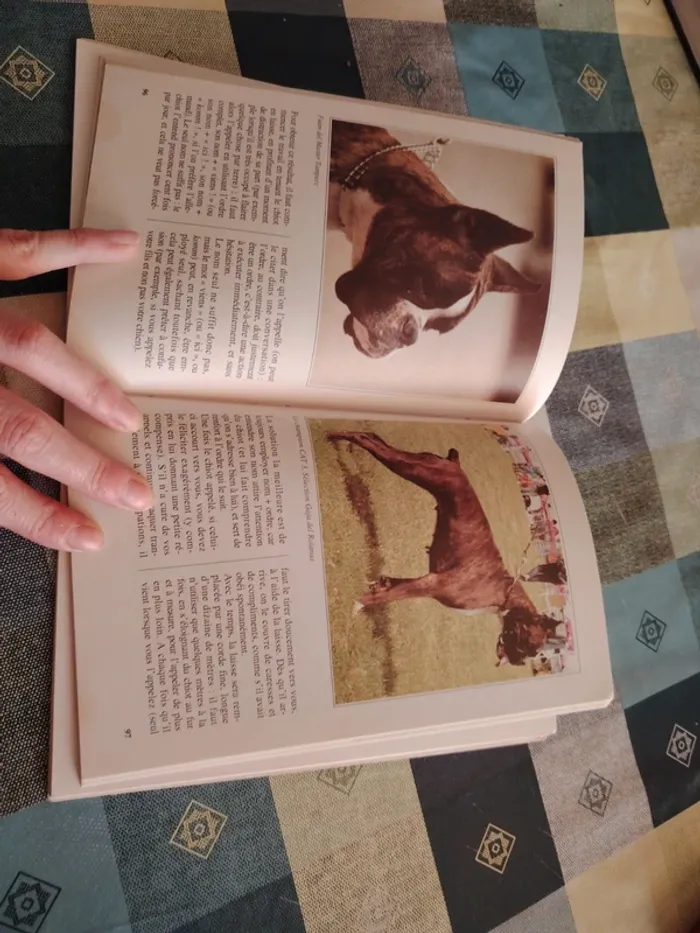 Livre sur le boxer - photo numéro 9