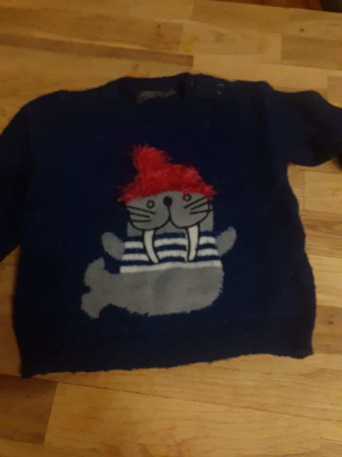 Pull phoque
