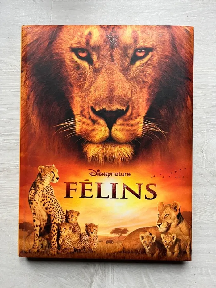 Livre Félins