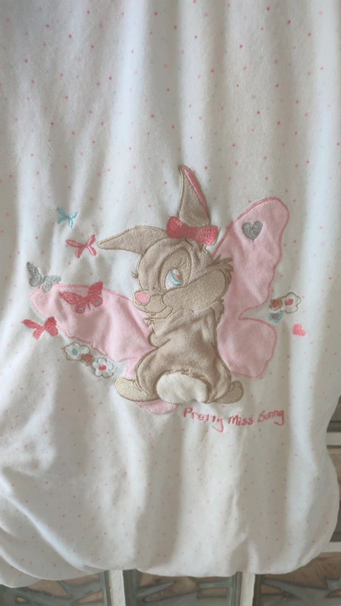 Gigoteuse 6-24 mois hiver Disney baby - photo numéro 2