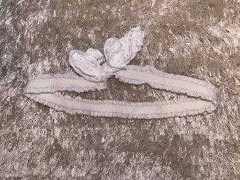 Bandeaux fille de 1 mois à 3 ans