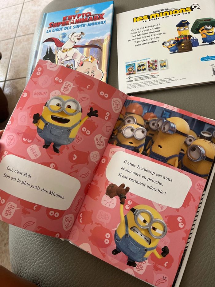 Lot livres Minions 2 - photo numéro 5