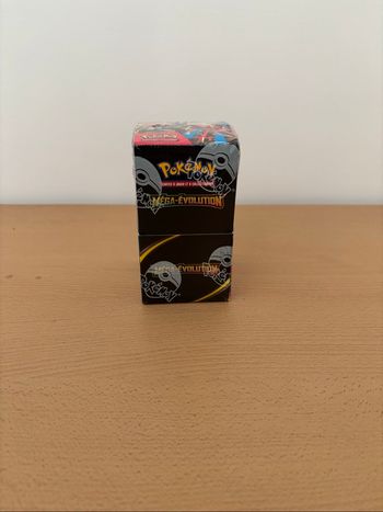 Demie Display Pokémon Mega Évolution