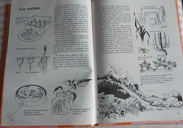 💐 Livre les fleurs et la botanique Epigones 💐 - photo numéro 4