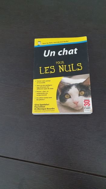 Un chat pour les nuls