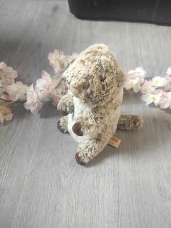 Doudou marmotte