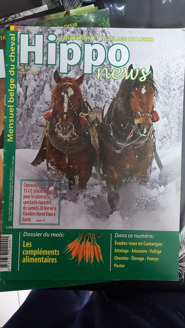 Lot Hippo News - photo numéro 2