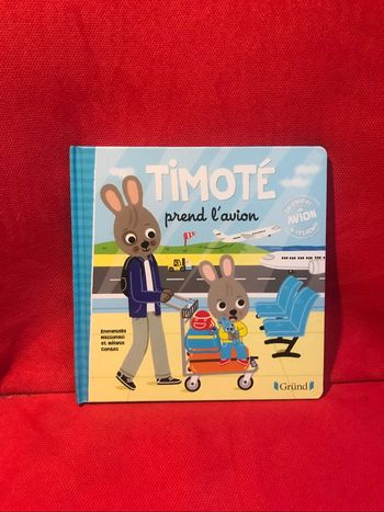 Livre Timoté prend l’avion