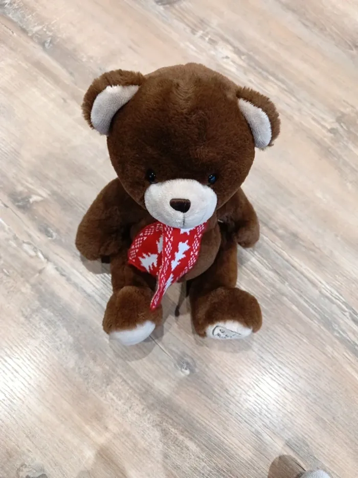 Ours en peluche - photo numéro 3