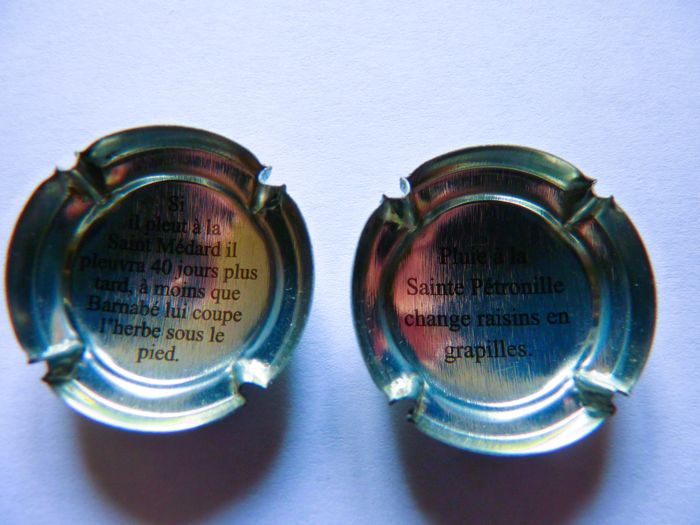 Plaque muselet champagne capsule des adages météo collection 6 - photo numéro 3