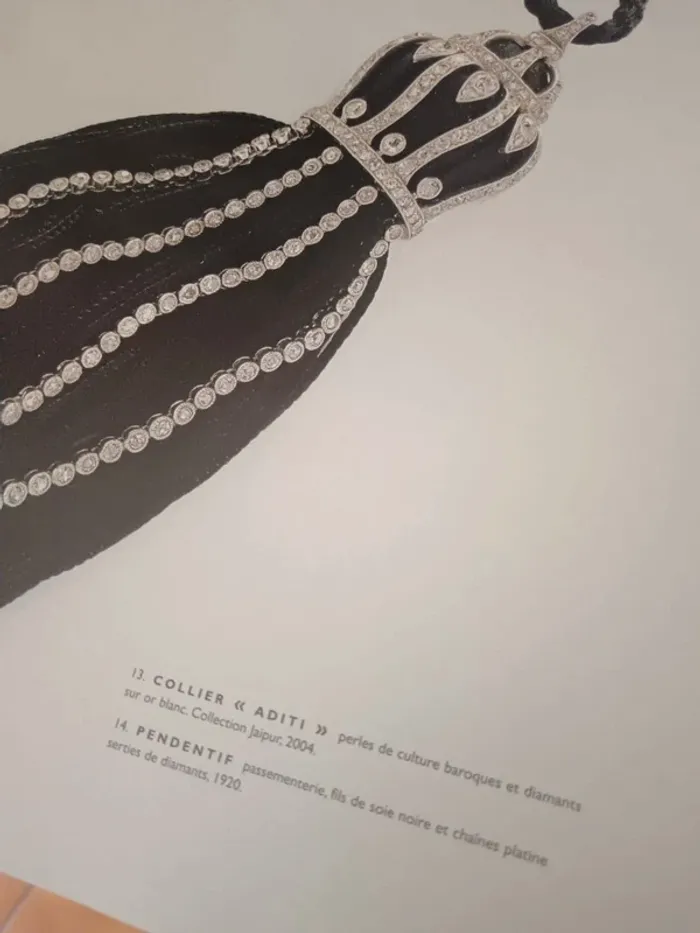 Livre Boucheron la capture de l'éclat - photo numéro 5