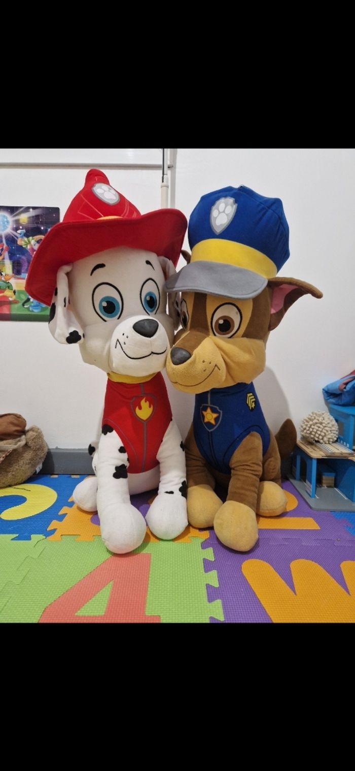 Pat patrouille - photo numéro 2