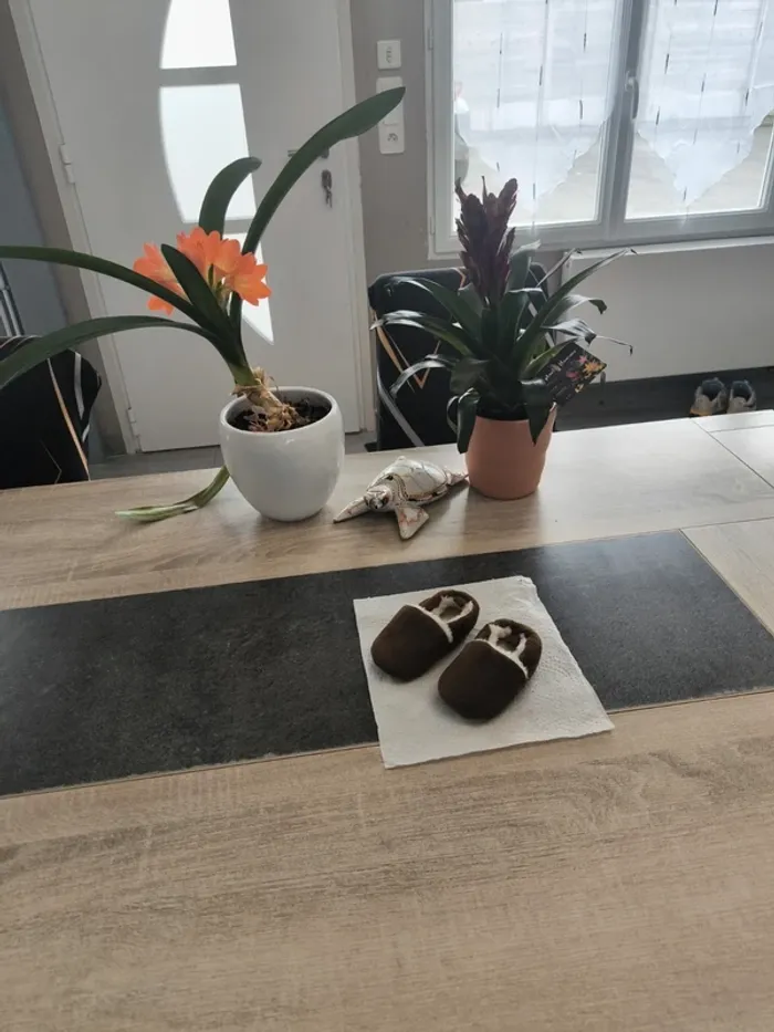 Chaussons molletonné garçon 18/19 HM