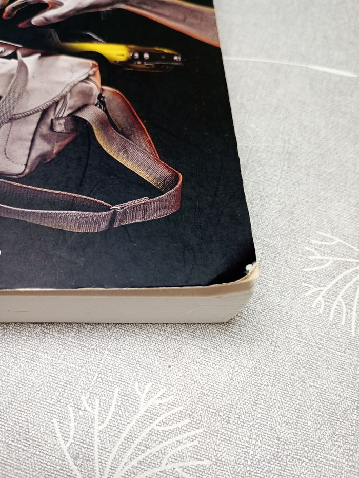 La main sur le sac - photo numéro 2