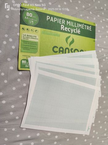 6 feuilles de papier millimétré recyclé canson 80g/M2 A4 21x29,7cm  Réduction jusqu'à -70%