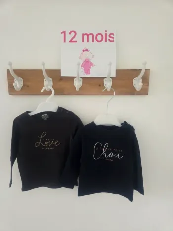 Lot 2 tee-shirts 12m kiabi