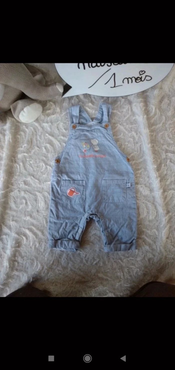 Salopette doublée Garçon 0/1 mois La famille potager Taupe La compagnie des petits 100% coton - photo numéro 2