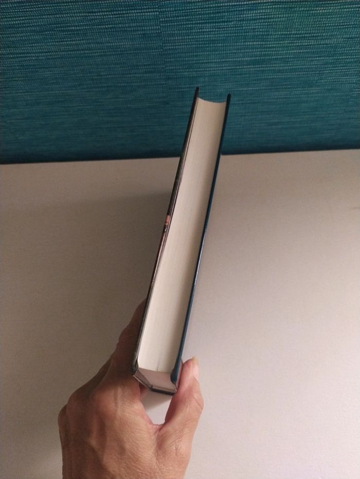 Le crépuscule des Elfes de Jean Louis Fetjaine - photo numéro 5