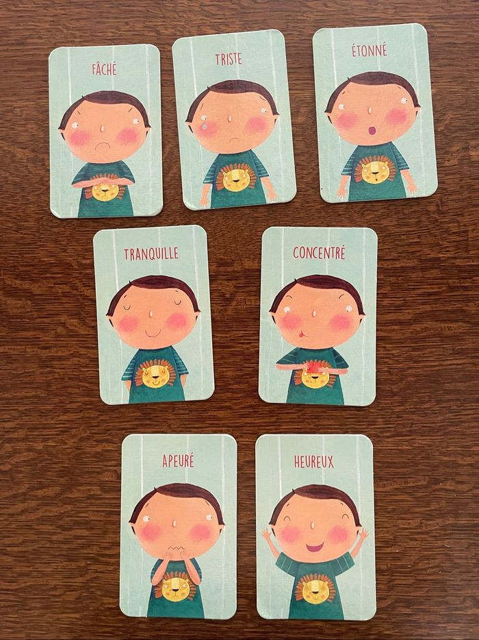 Coffret les émotions sur ma frimousse - photo numéro 3