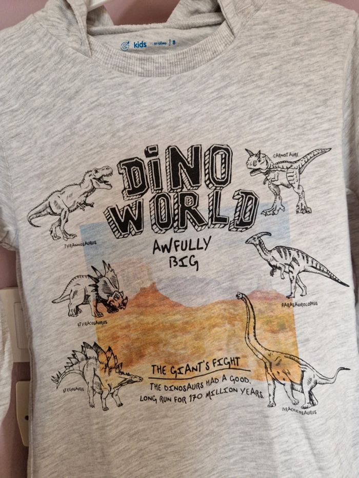 Tee-shirt garçon dinosaures - photo numéro 4