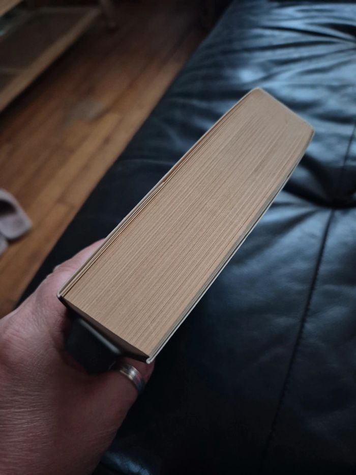 la fiancée de Dante de Natasha Rhodes - photo numéro 5