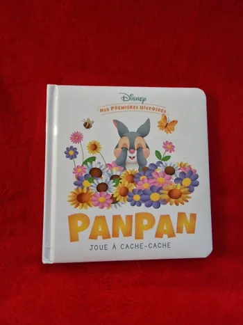 Livre mes premières histoires Disney panpan joue à cache cache