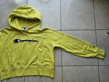 Sweat / pull champion