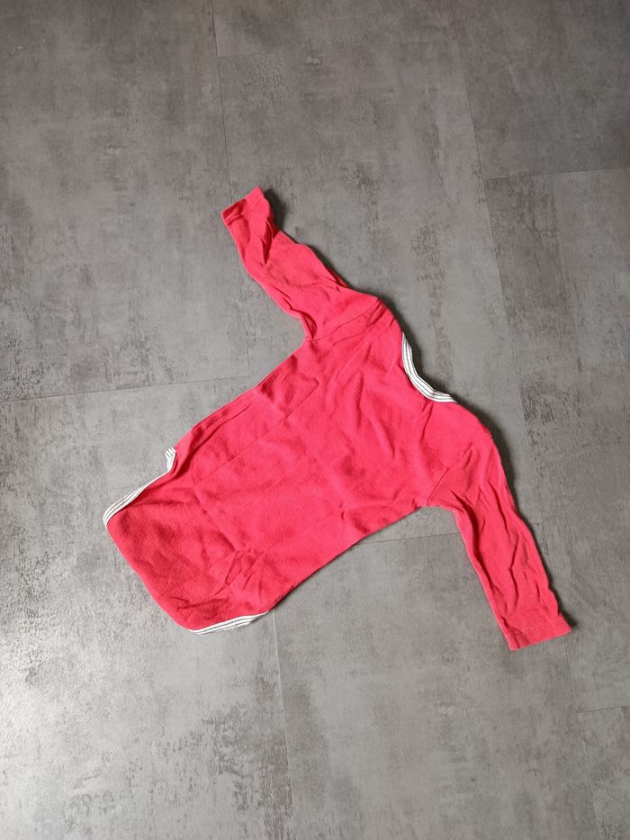 Bodie 12 mois - photo numéro 2