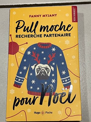 Pull moche recherche partenaire pour Noël