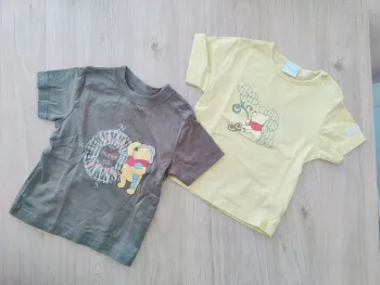 Lot de 2 Tshirt Winnie l'ourson 18 mois