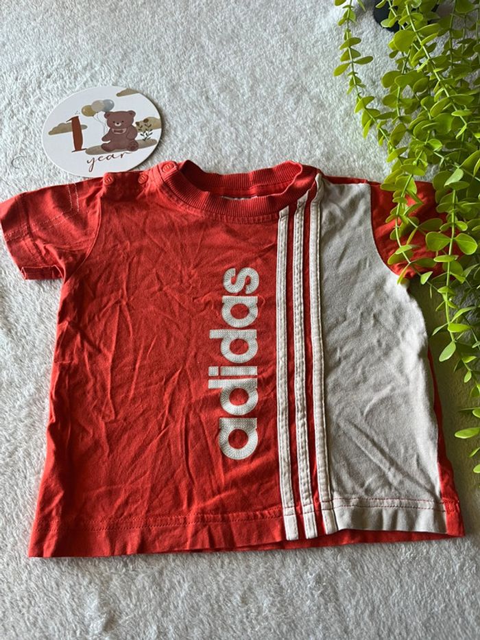 Tres beau tee shirt courte manche bébé garçon
