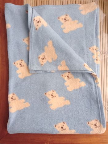 Joli plaid bleu avec des oursons