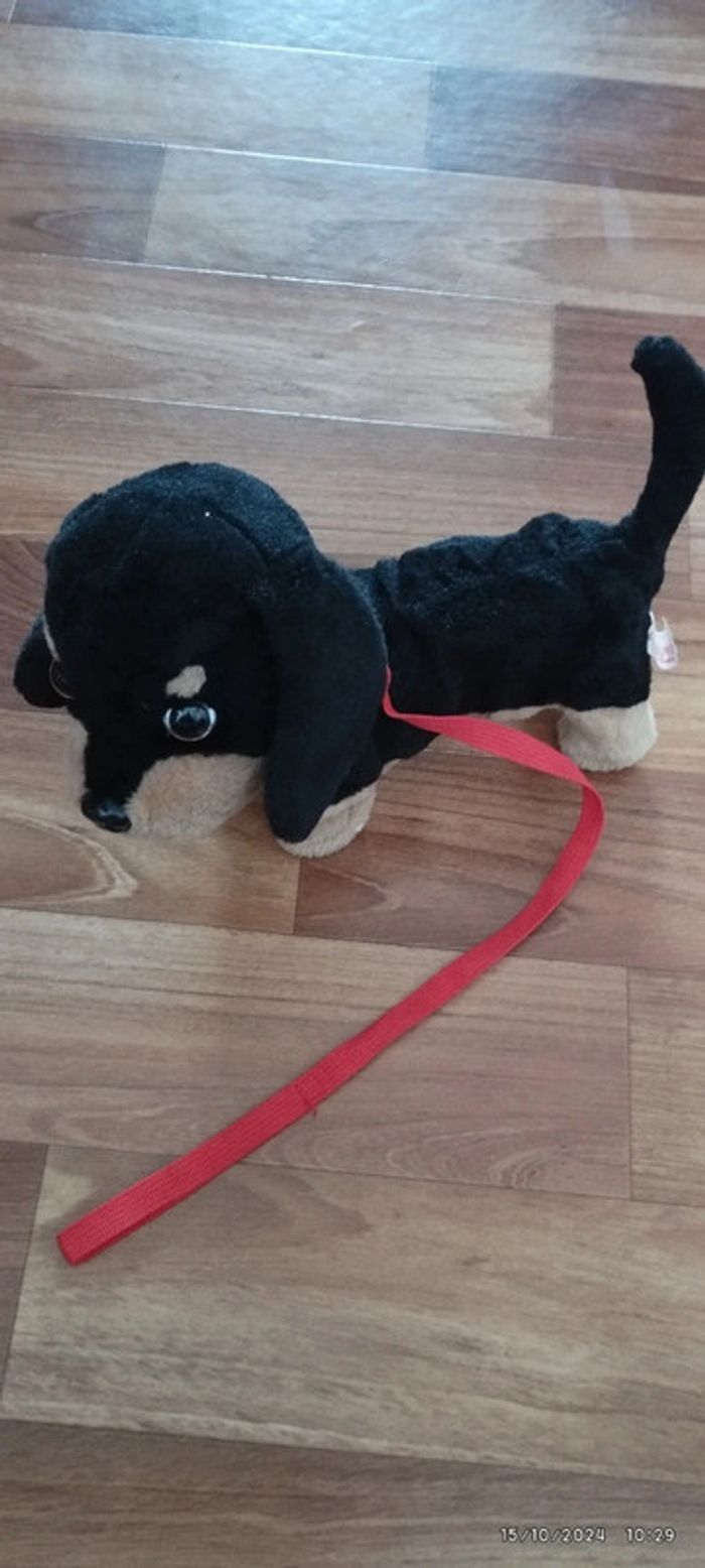 Chien magique