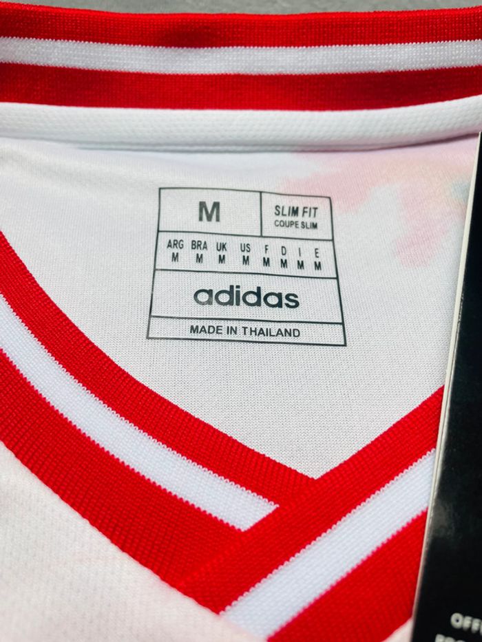 Maillot concept foot Japon rouge paysage taille M - photo numéro 8