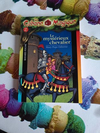 Livre le mystérieux chevalier