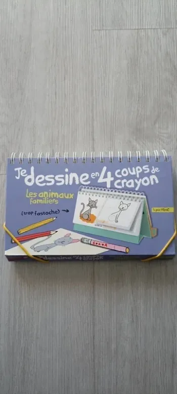 Livret chevalet je dessine en 4 coups de crayon les animaux familiers