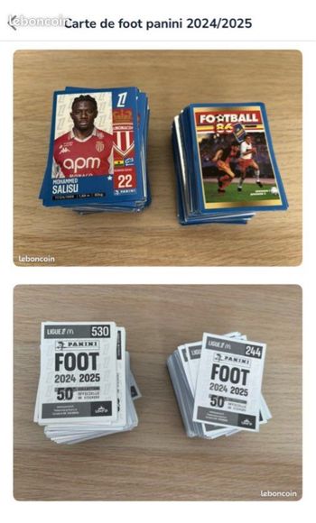 Carte panini foot 2024/2025
