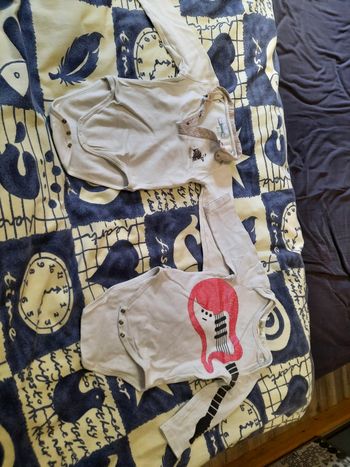Lot de 2 bodys taille 18 mois