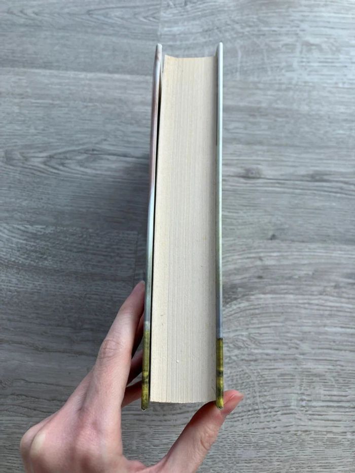 Roman - Les ailes de l'ange de Jenny Wingfield - photo numéro 5